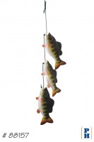 Fish on Rope