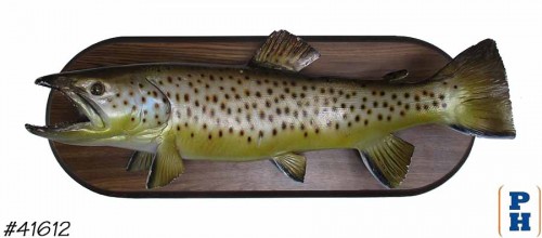 Taxidermy Fish