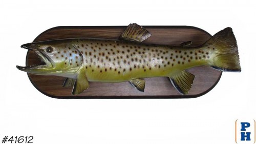 Taxidermy Fish