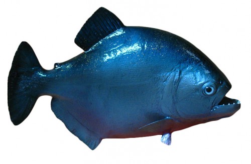 taxidermy fish