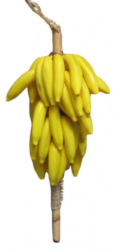 Fake Food