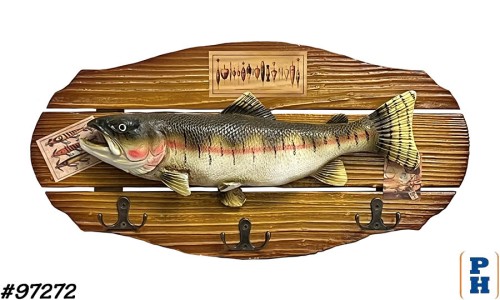 Taxidermy Fish