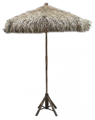 Umbrella