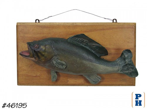 Taxidermy Fish