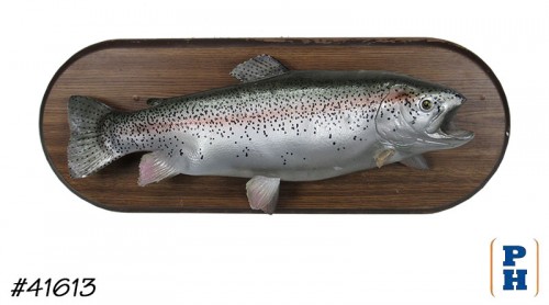 Taxidermy Fish
