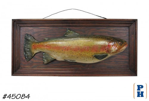Taxidermy Fish