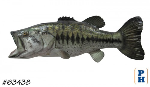 Taxidermy Fish