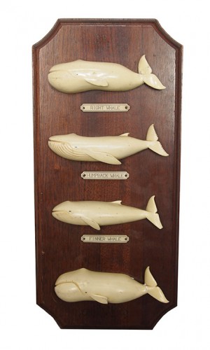 Plaque