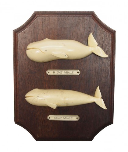 Plaque