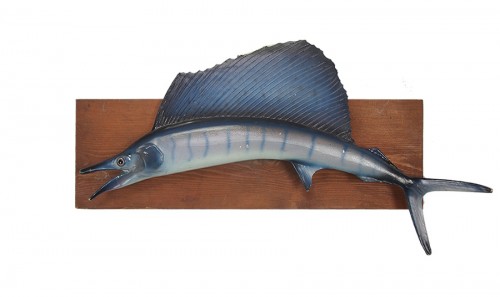 Taxidermy Fish