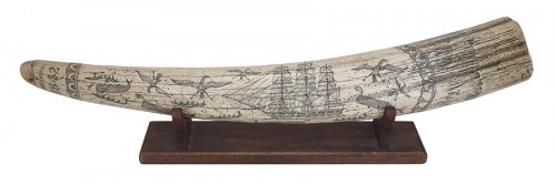 Scrimshaw Tusk