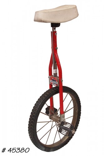 Unicycle