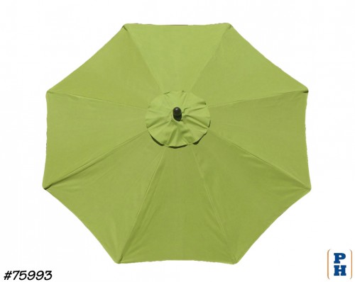 Umbrella
