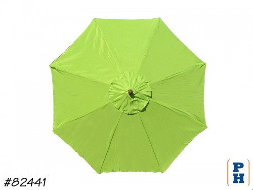 Umbrella