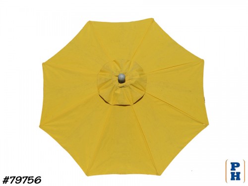 Umbrella