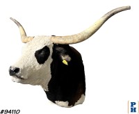 Taxidermy