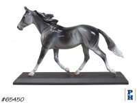Horse Model