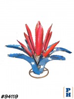 Agave Plant