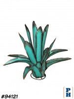 Agave Plant
