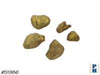 Fake Gold Nugget