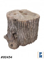 Tree Stump
