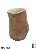 Tree Stump