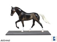Horse Model