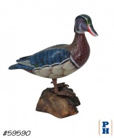 Decoy