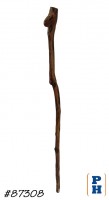 Walking Stick