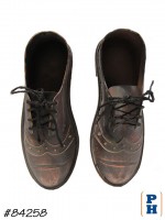 Bronze Shoes