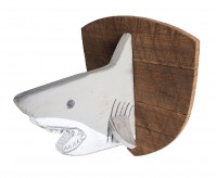 Shark Trophy Head