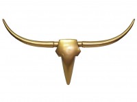 Steer - Bull Skull and Horns