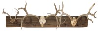 Coat Rack
