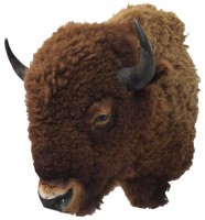 Taxidermy Buffalo Head