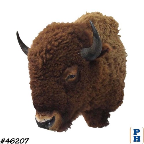 Taxidermy Buffalo Head