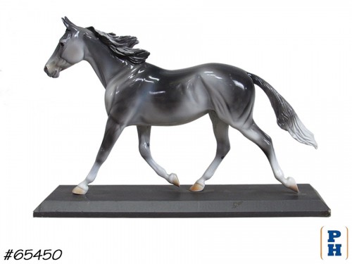Horse Model