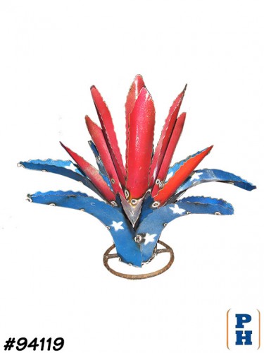 Agave Plant