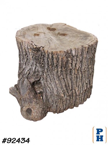 Tree Stump