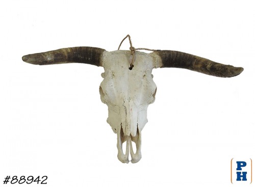 Cow Skull Wall Decor