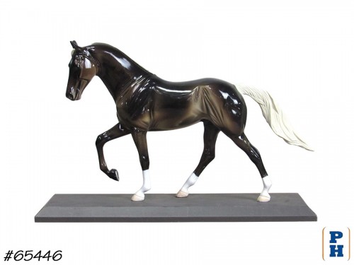 Horse Model