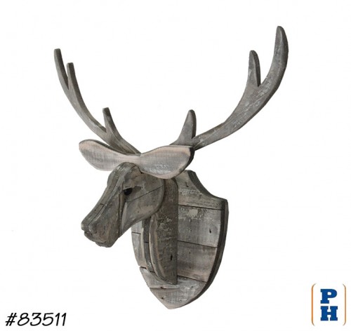 Deer Trophy Head