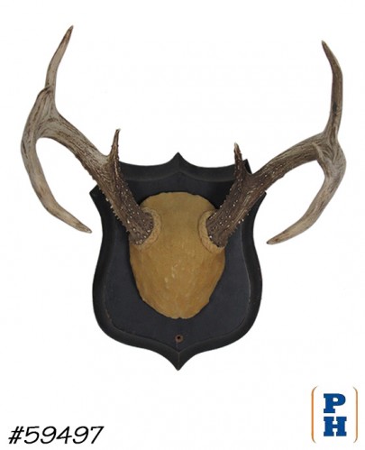 Antler Display