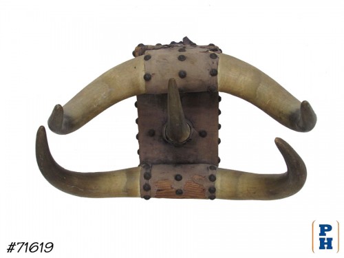 Horns