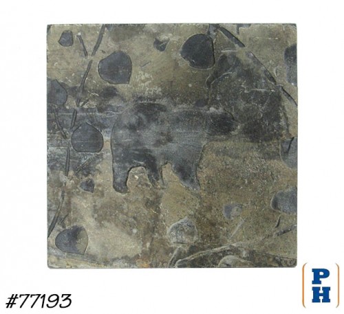 Trivet - Tile