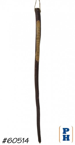 Walking Stick