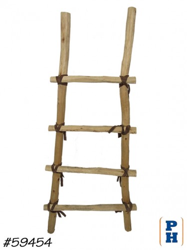 Ladder
