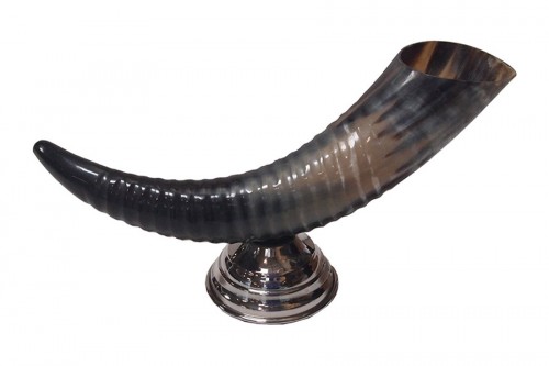 Animal Horn