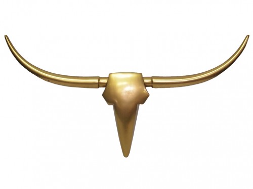 Steer - Bull Skull and Horns